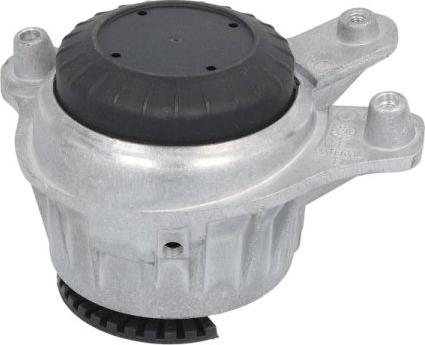 REINHOCH RH11-3159 - Подушка, опора, подвеска двигателя abcparts.ee