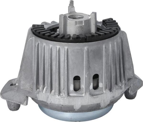 REINHOCH RH11-3119 - Подушка, опора, подвеска двигателя abcparts.ee