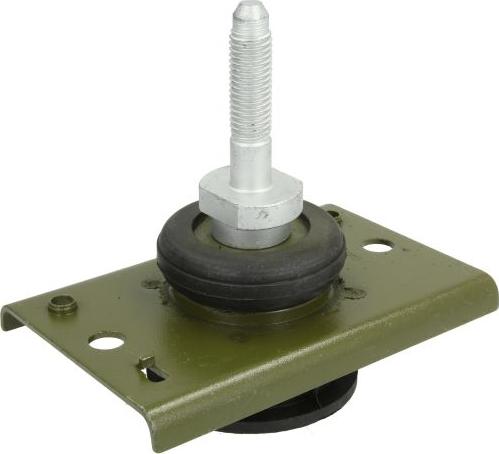 REINHOCH RH11-2036 - Подушка, опора, подвеска двигателя abcparts.ee