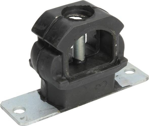 REINHOCH RH11-2138 - Подушка, опора, подвеска двигателя abcparts.ee