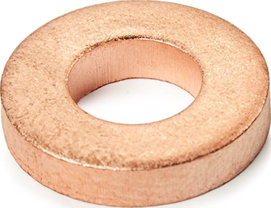 RIDEX 4051S0013 - Прокладка, держатель форсунки abcparts.ee