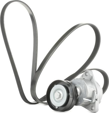 RIDEX 542R0319 - Поликлиновый ременный комплект abcparts.ee