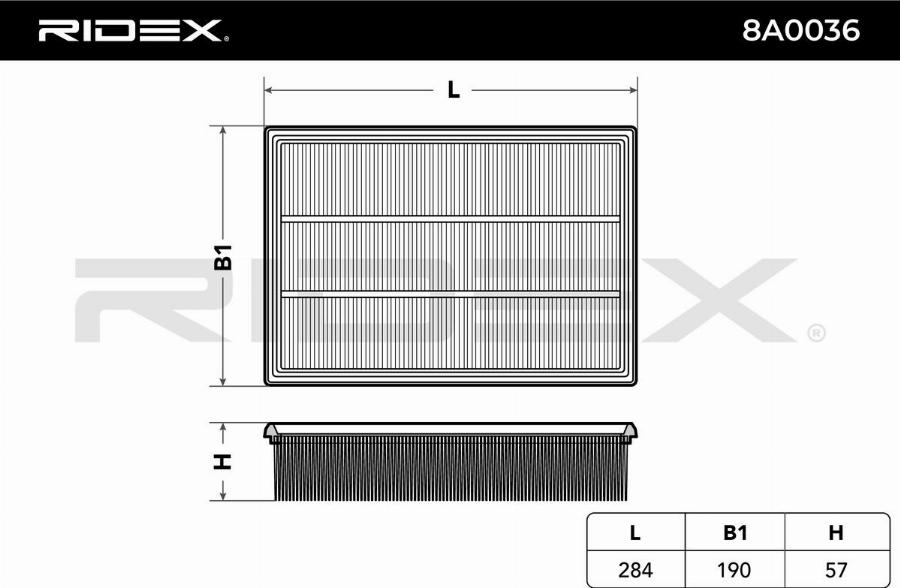 RIDEX 8A0036 - Воздушный фильтр двигателя abcparts.ee