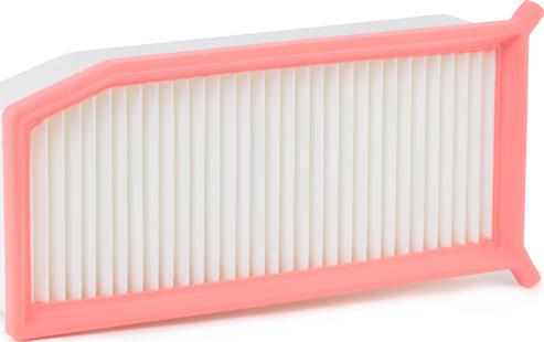 RIDEX 8A0258 - Воздушный фильтр двигателя abcparts.ee