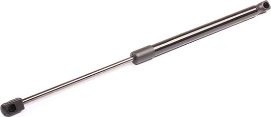 RIDEX 219G0143 - Газовая пружина, упор abcparts.ee