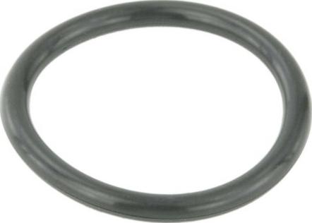 RRT RAD-170934 - Прокладка, фланец охлаждающей жидкости abcparts.ee