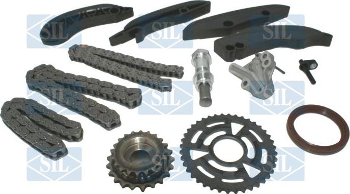 Saleri SIL CK5197 - Комплект цепи привода распредвала abcparts.ee