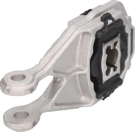 Sasic 9002424 - Подушка, опора, подвеска двигателя abcparts.ee