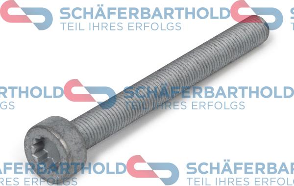Schferbarthold 100 09 010 01 22 - Болт, корпус скобы тормоза abcparts.ee