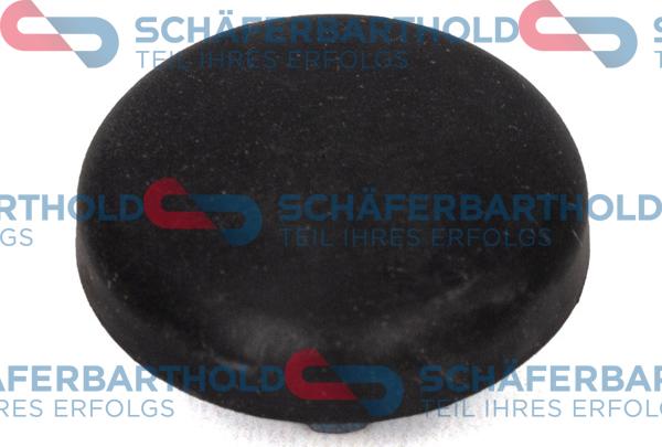 Schferbarthold 100 27 370 01 11 - Колпачковая гайка abcparts.ee