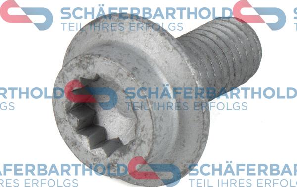 Schferbarthold 319 18 614 01 11 - Болт, шестерня - коленчатый вал abcparts.ee