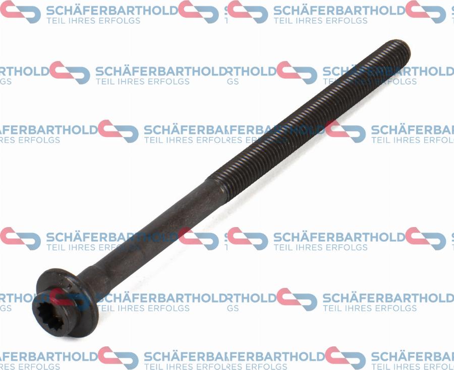 Schferbarthold 310 38 601 01 11 - Болт головки цилиндра abcparts.ee