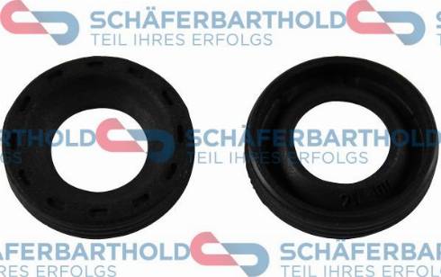 Schferbarthold 313 26 584 01 11 - Уплотнительное кольцо, инжектор abcparts.ee