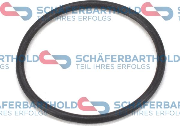 Schferbarthold 313 27 094 01 11 - Прокладка, топливный насос высокого давления abcparts.ee