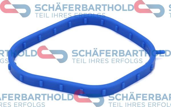 Schferbarthold 313 27 053 01 11 - Прокладка, корпус термостата abcparts.ee