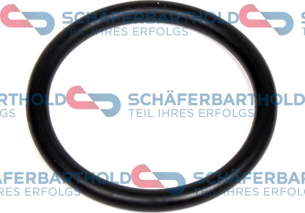 Schferbarthold 313 27 025 01 11 - Прокладка, термостат abcparts.ee