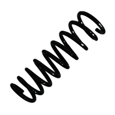 Spidan 55574 - Пружина ходовой части abcparts.ee