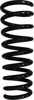 Spidan 55571 - Пружина ходовой части abcparts.ee