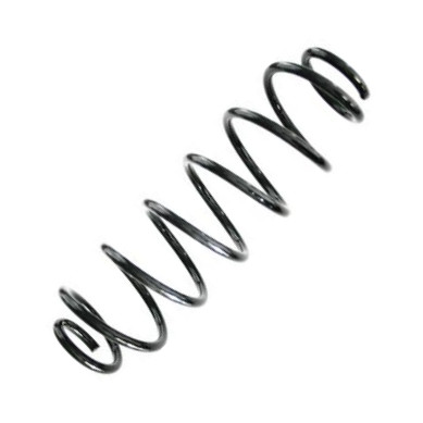Spidan GKNW10038 - Пружина ходовой части abcparts.ee