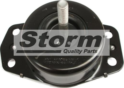 Storm F2509 - Подушка, опора, подвеска двигателя abcparts.ee
