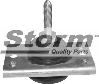 Storm F2508 - Подушка, опора, подвеска двигателя abcparts.ee