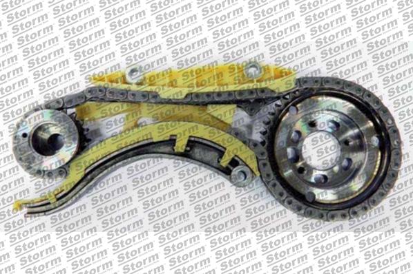 Storm KITC555029 - Комплект цепи привода распредвала abcparts.ee