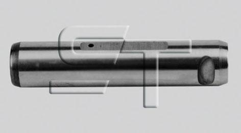 ST-Templin 04.100.0274.000 - Палец ушка рессоры abcparts.ee