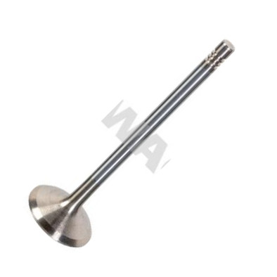 Swag 33 10 7698 - Впускной клапан abcparts.ee