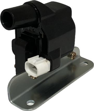 SWAN IC70766 - Катушка зажигания abcparts.ee