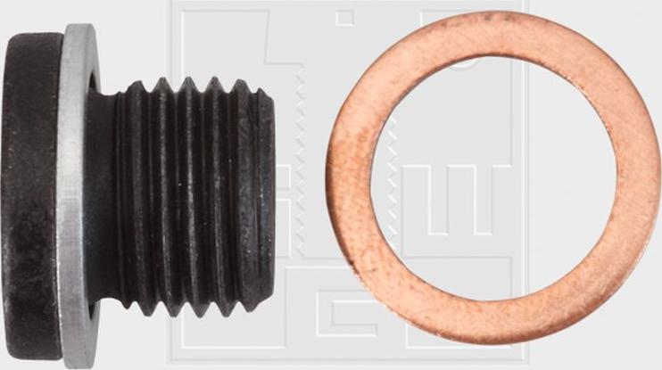 SWGAutomotive 243 001 025 80 - Резьбовая пробка, масляный поддон abcparts.ee