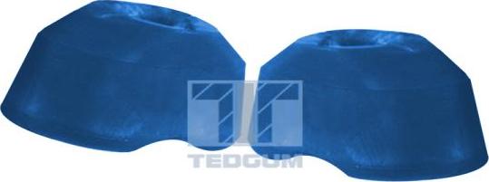 Tedgum 00289205 - Подушка, опора, подвеска двигателя abcparts.ee