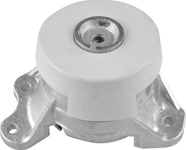 Tedgum TED49389 - Подушка, опора, подвеска двигателя abcparts.ee