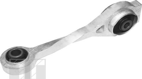 Tedgum TED57560 - Подушка, опора, подвеска двигателя abcparts.ee