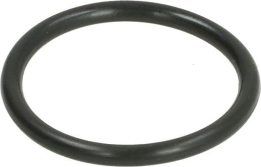 Thermotec DWC154TT - Уплотнительное кольцо, трубка охлаждающей жидкости abcparts.ee