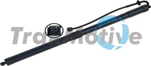 TrakMotive 60-0065 - Электромотор, задняя дверь abcparts.ee