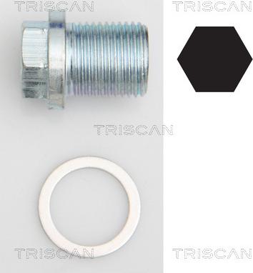 Triscan 9500 1002 - Sulgurkruvi, õlivann abcparts.ee