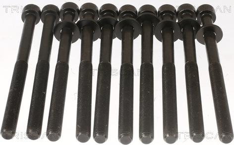 Triscan 98-1017 - Комплект болтов головки цилиндра abcparts.ee