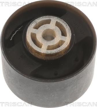 Triscan 8505 10113 - Подушка, опора, подвеска двигателя abcparts.ee