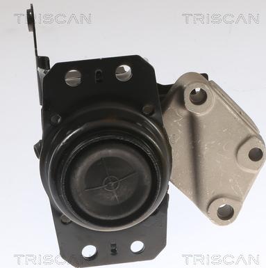 Triscan 8505 11208 - Подвеска, автоматическая коробка передач abcparts.ee