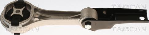 Triscan 8505 29142 - Подушка, опора, подвеска двигателя abcparts.ee
