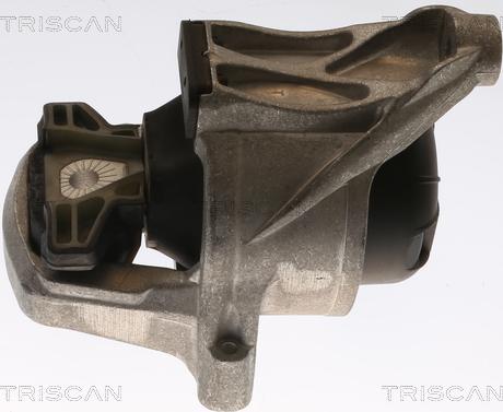 Triscan 8505 29168 - Подушка, опора, подвеска двигателя abcparts.ee