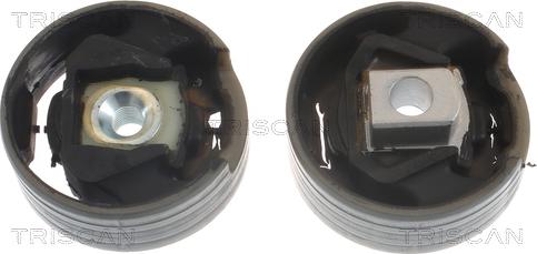 Triscan 8505 29114 - Подушка, опора, подвеска двигателя abcparts.ee