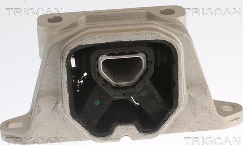 Triscan 8505 29184 - Подушка, опора, подвеска двигателя abcparts.ee