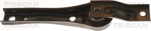 Triscan 8505 29136 - Подушка, опора, подвеска двигателя abcparts.ee