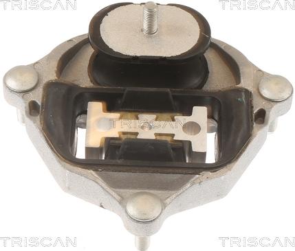 Triscan 8505 29215 - Подвеска, автоматическая коробка передач abcparts.ee