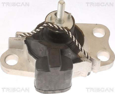 Triscan 8505 25100 - Подушка, опора, подвеска двигателя abcparts.ee