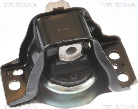 Triscan 8505 25102 - Подушка, опора, подвеска двигателя abcparts.ee