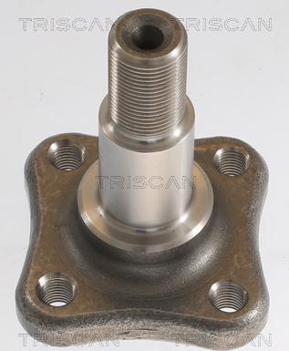 Triscan 8535 25007 - Ступица колеса, поворотный кулак abcparts.ee