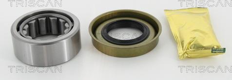 Triscan 8530 16268 - Комплект подшипника, ступицы колеса abcparts.ee