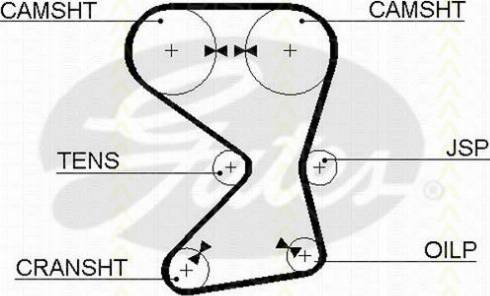 Triscan 8645 5255xs - Зубчатый ремень ГРМ abcparts.ee